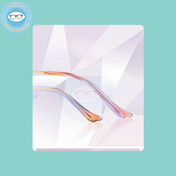 Gọng kim loại mã 6289